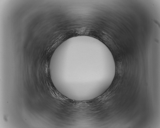 X0000099961154200805231020