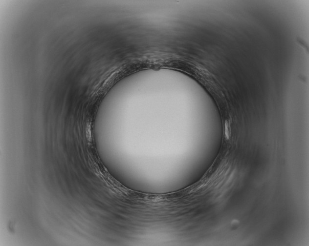 X0000099961155200805231020
