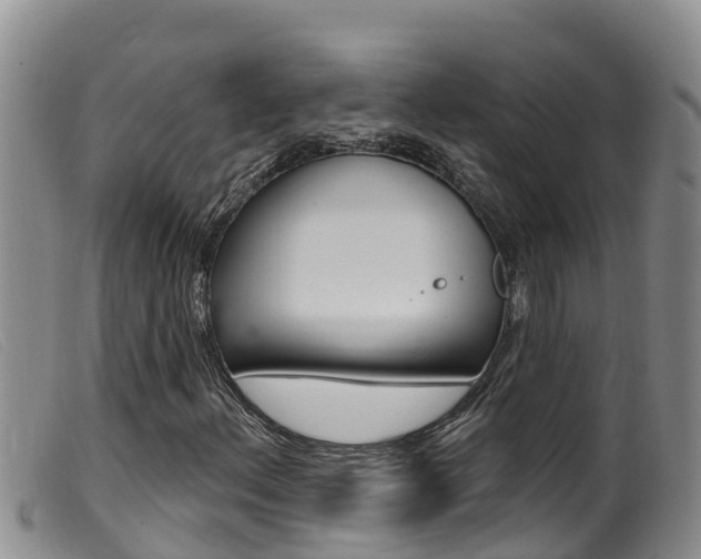 X0000099961156200805231019