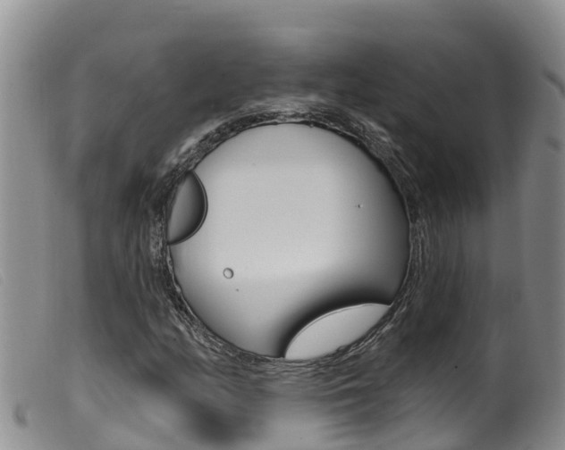 X0000099961158200805231019