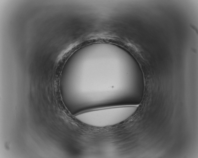 X0000099961159200805231019