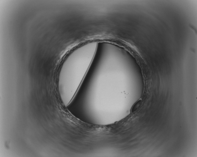 X0000099961160200805231019