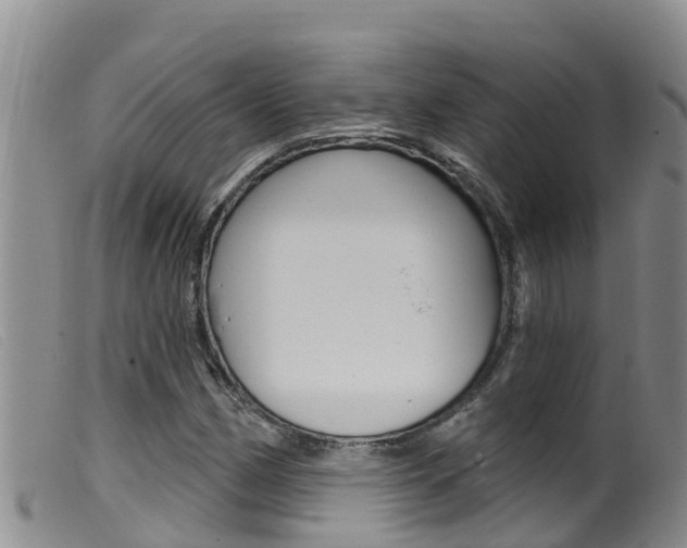 X0000099961162200805231019