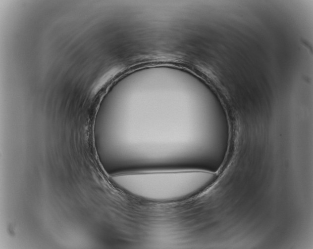 X0000099961163200805231019