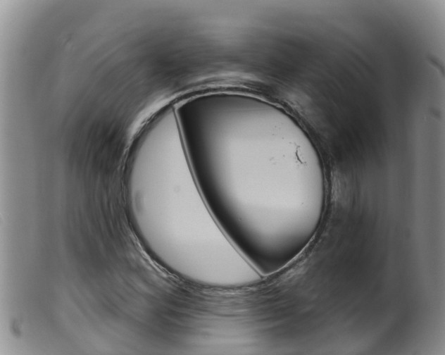 X0000099961164200805231019