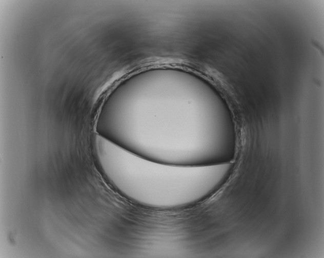X0000099961165200805231019