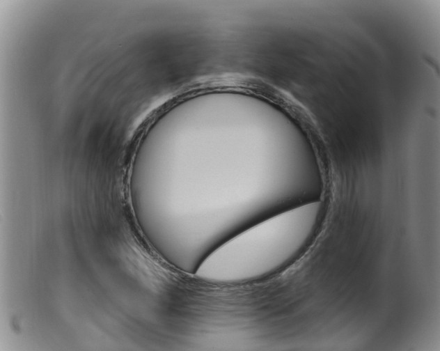 X0000099961166200805231019
