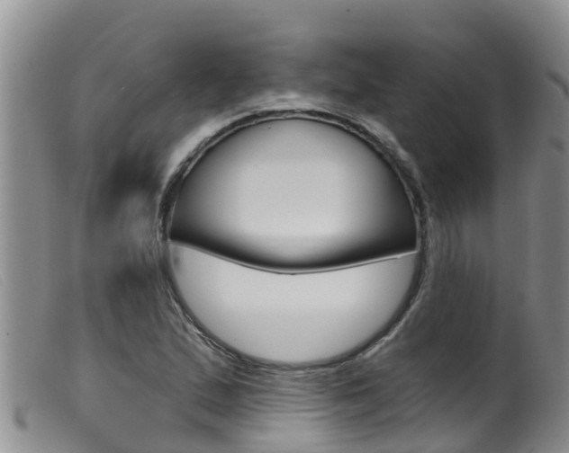 X0000099961167200805231019