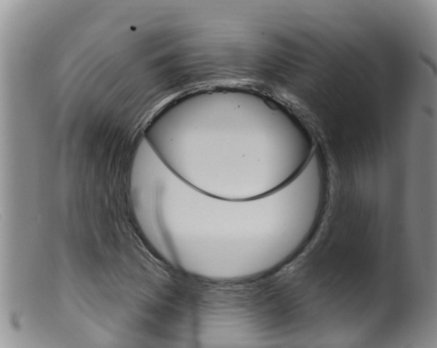 X0000099961169200805231019