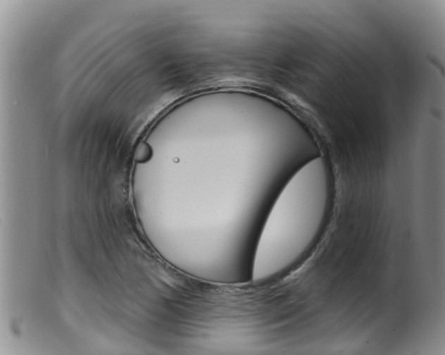X0000099961170200805231019