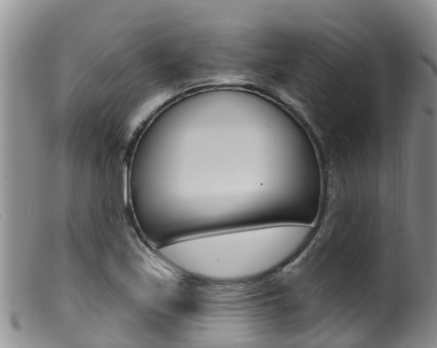 X0000099961171200805231019