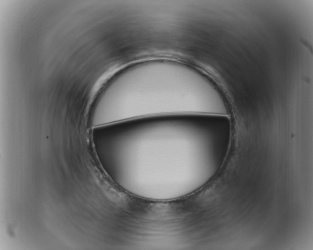 X0000099961172200805231019