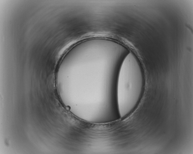 X0000099961174200805231019