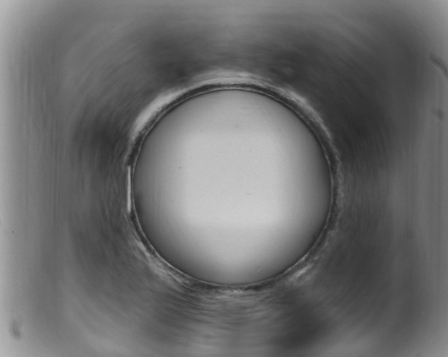 X0000099961175200805231019