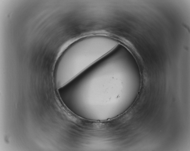 X0000099961176200805231019