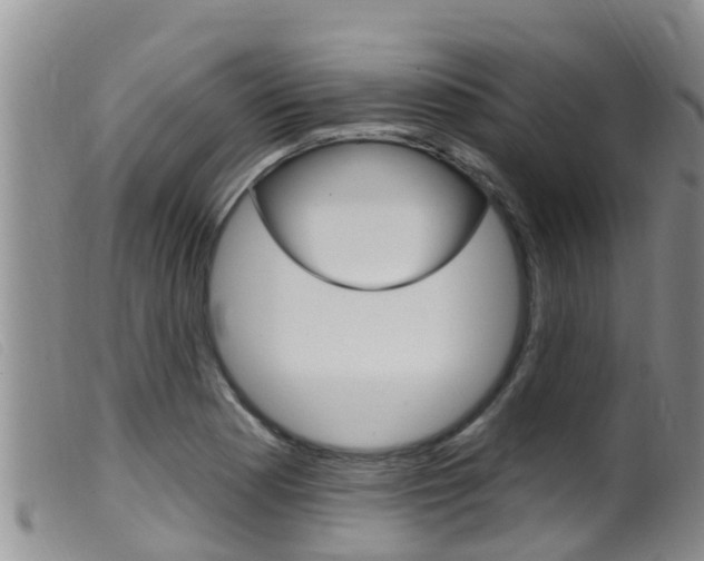 X0000099961177200805231019