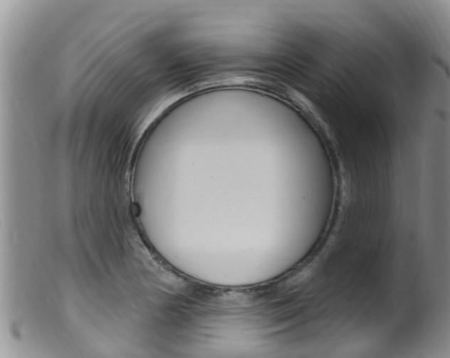 X0000099961178200805231019