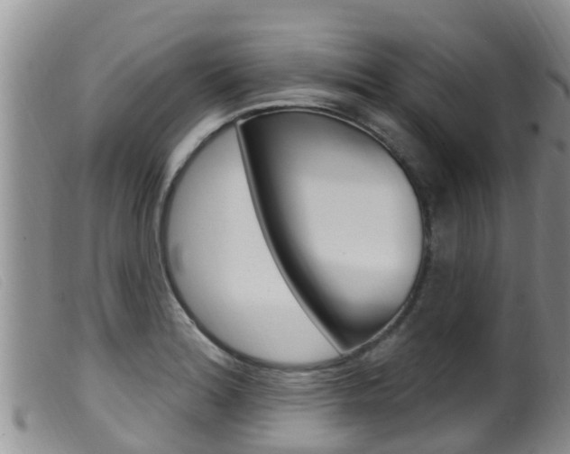 X0000099961180200805231019
