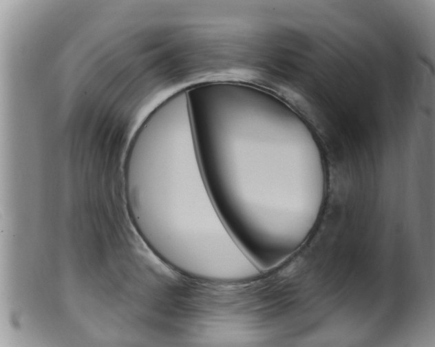 X0000099961184200805231019