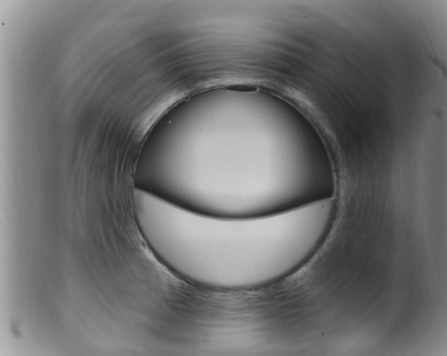 X0000099961185200805231019