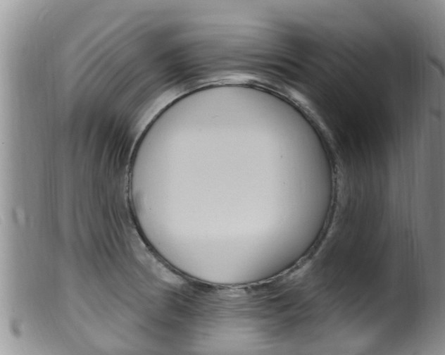 X0000099961186200805231019