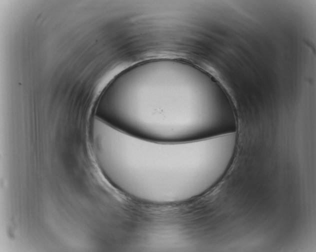 X0000099961187200805231019