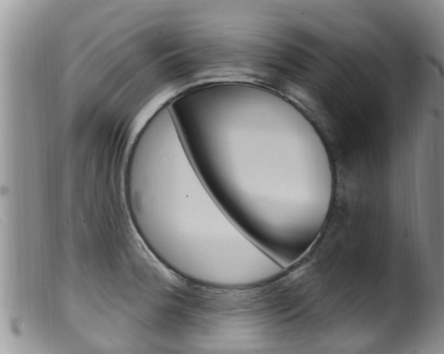 X0000099961188200805231019
