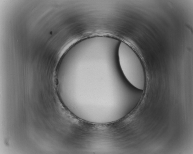 X0000099961190200805231019