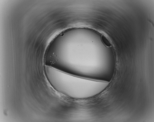 X0000099961191200805231019