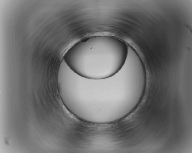 X0000099961193200805231019
