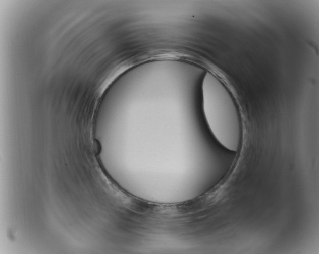 X0000099961194200805231019