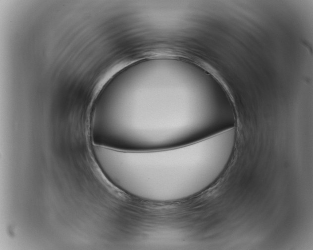 X0000099961195200805231019