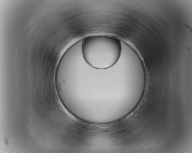 X0000099961197200805231019