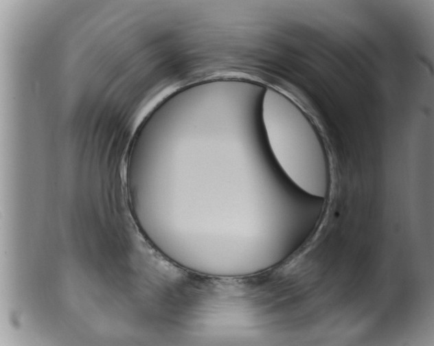 X0000099961198200805231019
