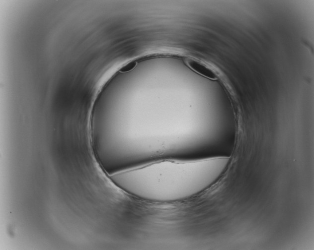 X0000099961199200805231019