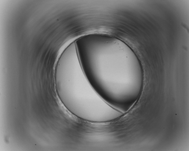 X0000099961200200805231019