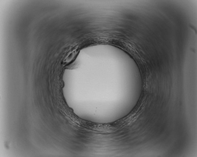 X0000099961201200805231018