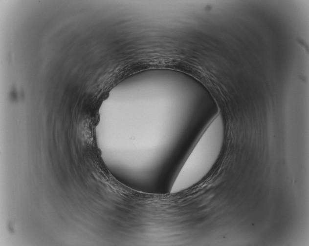 X0000099961202200805231018