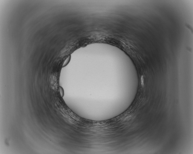 X0000099961203200805231018
