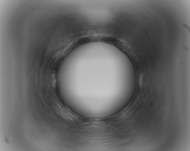 X0000099961204200805231018