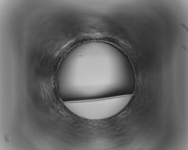 X0000099961205200805231018