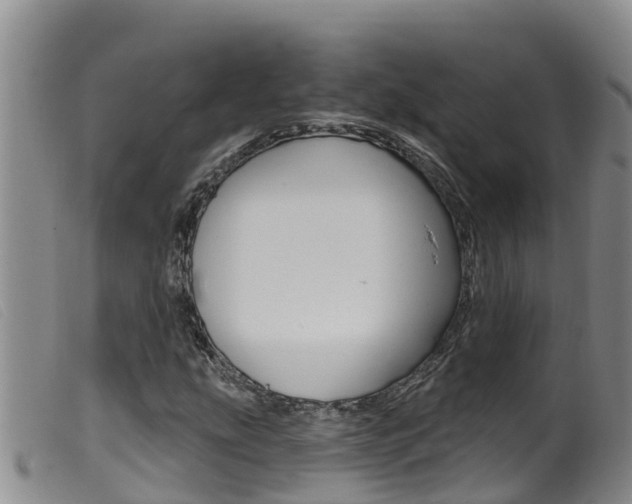 X0000099961207200805231018