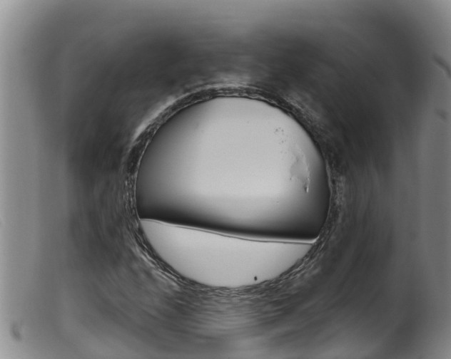 X0000099961208200805231018