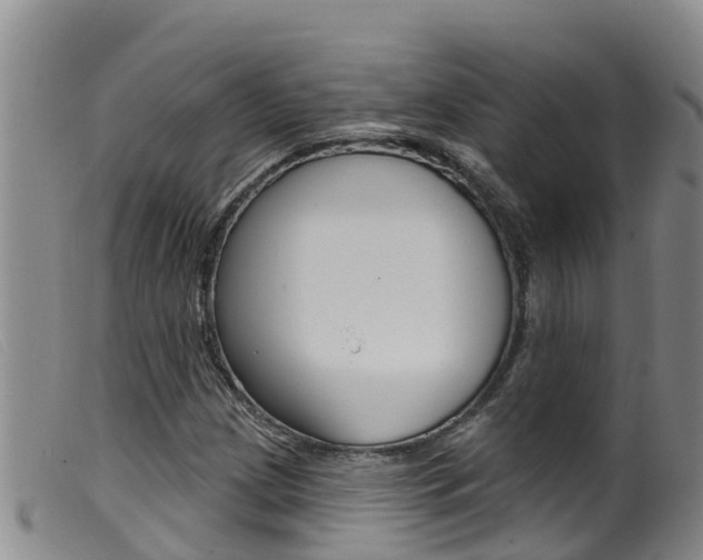 X0000099961209200805231018
