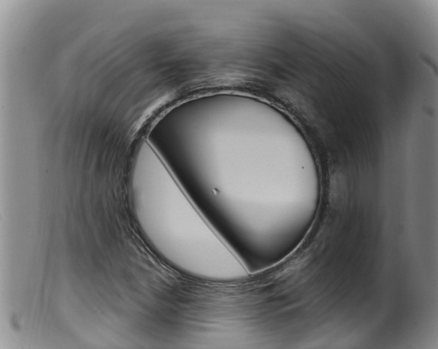 X0000099961210200805231018