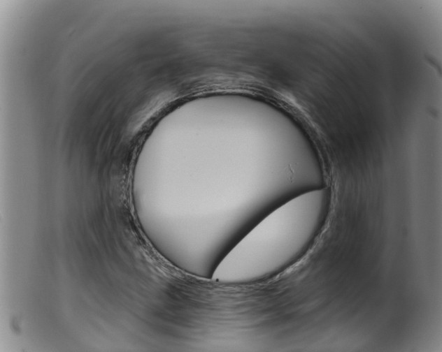 X0000099961211200805231018