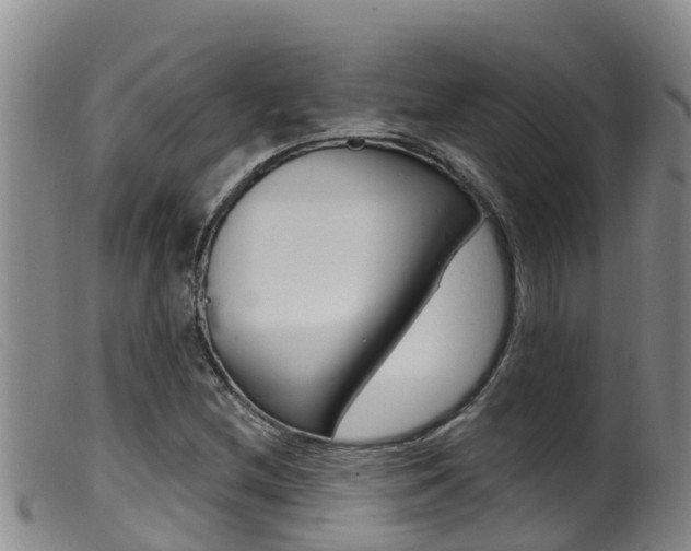 X0000099961212200805231018