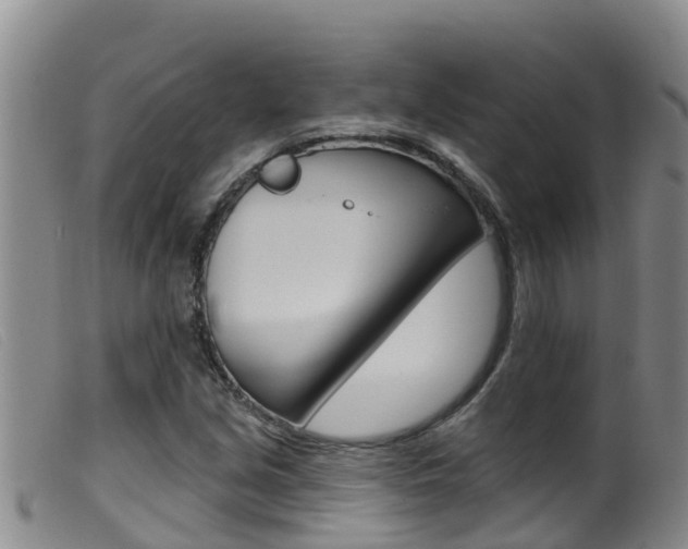 X0000099961213200805231018