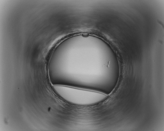 X0000099961214200805231018