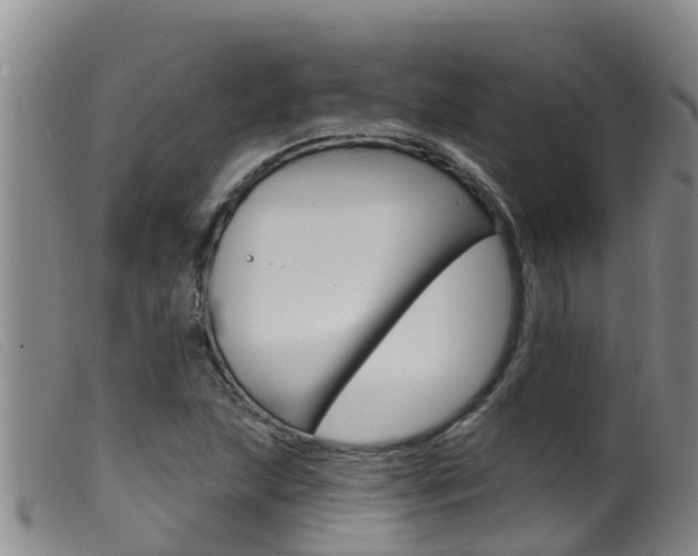 X0000099961215200805231018